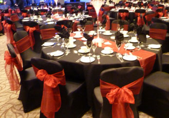 Chair Covers