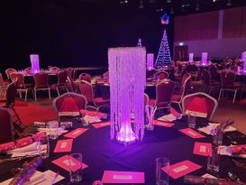 Telford international chandeliers pink4