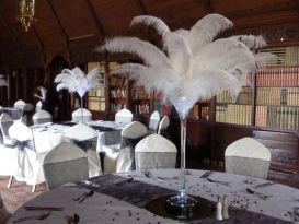 martini feathers ettington - Copy