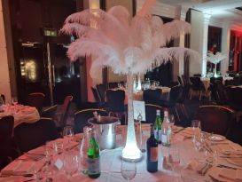 ostrich feather displays MULS8