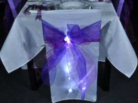 ribbon lites on chairs