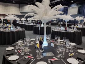 white ostrich feather displays manchester central2