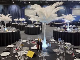 white ostrich feather displays manchester central3
